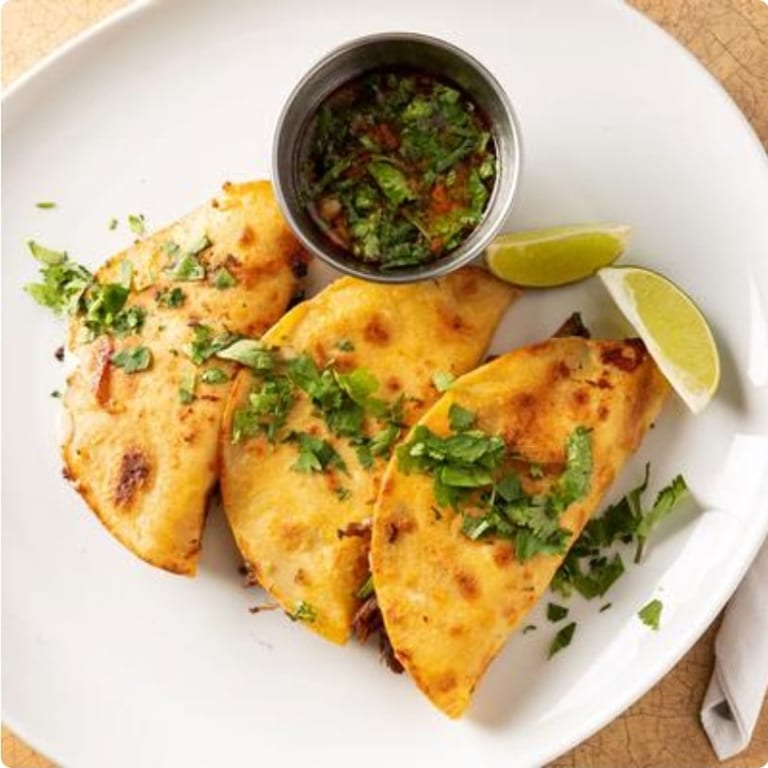 Birria Enchiladas: A Flavorful Mexican Delight